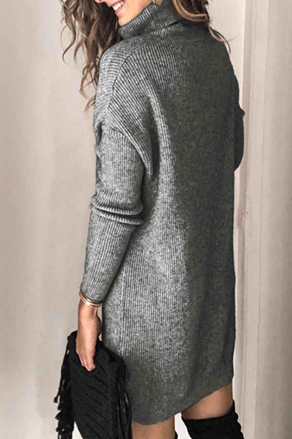 Turtle Neck Solid Color Knitted Dress