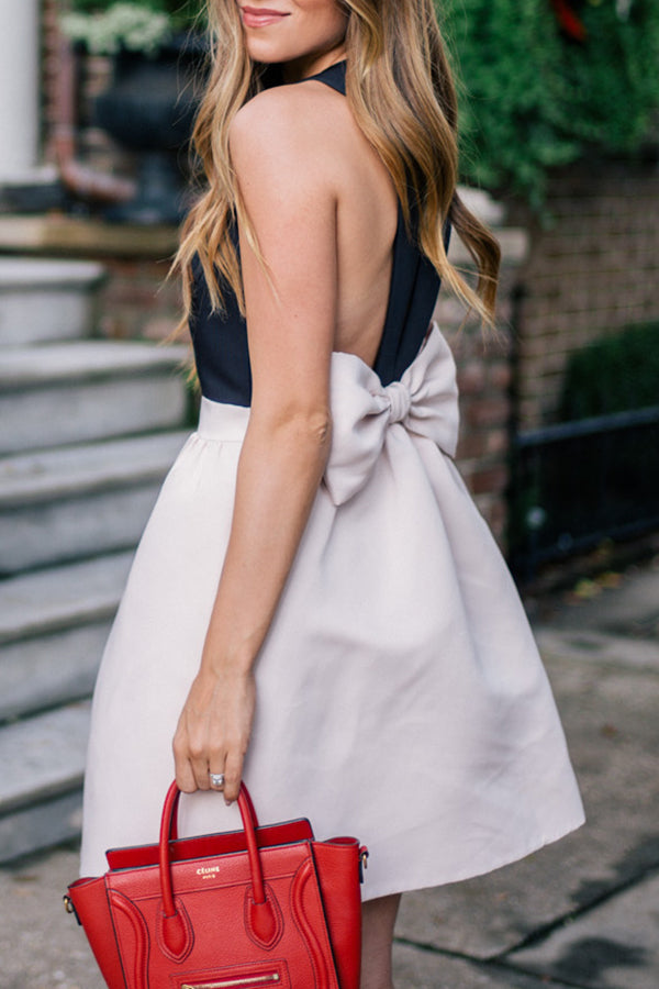 Petite Classic Black and White Bow Dress