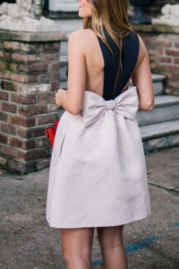 Petite Classic Black and White Bow Dress