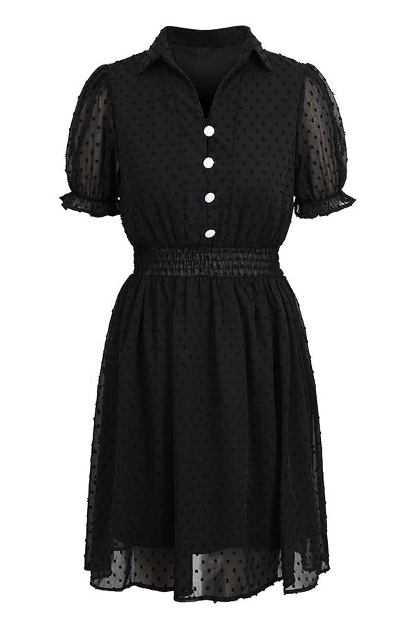 Black Mesh Lace Polka Dot Mini Dress