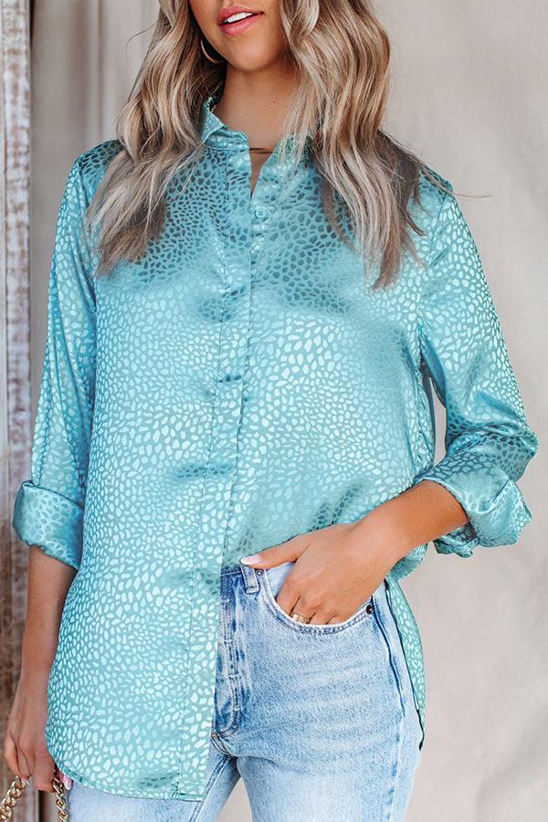 V-neck Leopard-print Stitching Long-sleeved Shirt