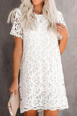 Lace Elegant Straight Dress