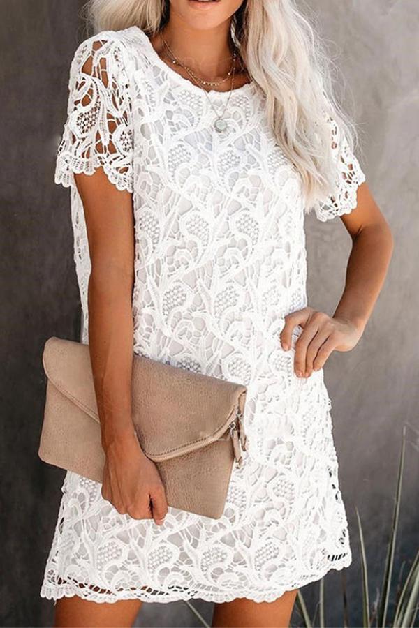 Lace Elegant Straight Dress