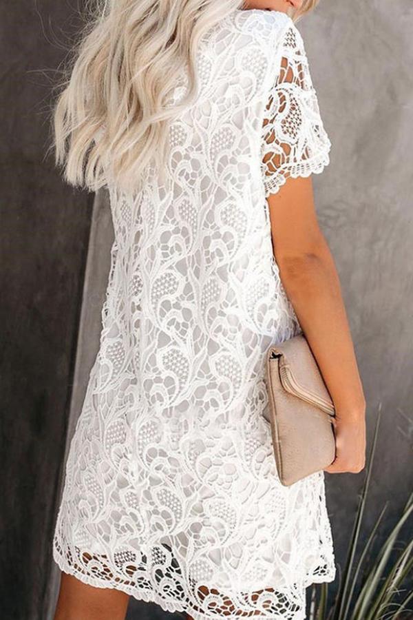 Lace Elegant Straight Dress