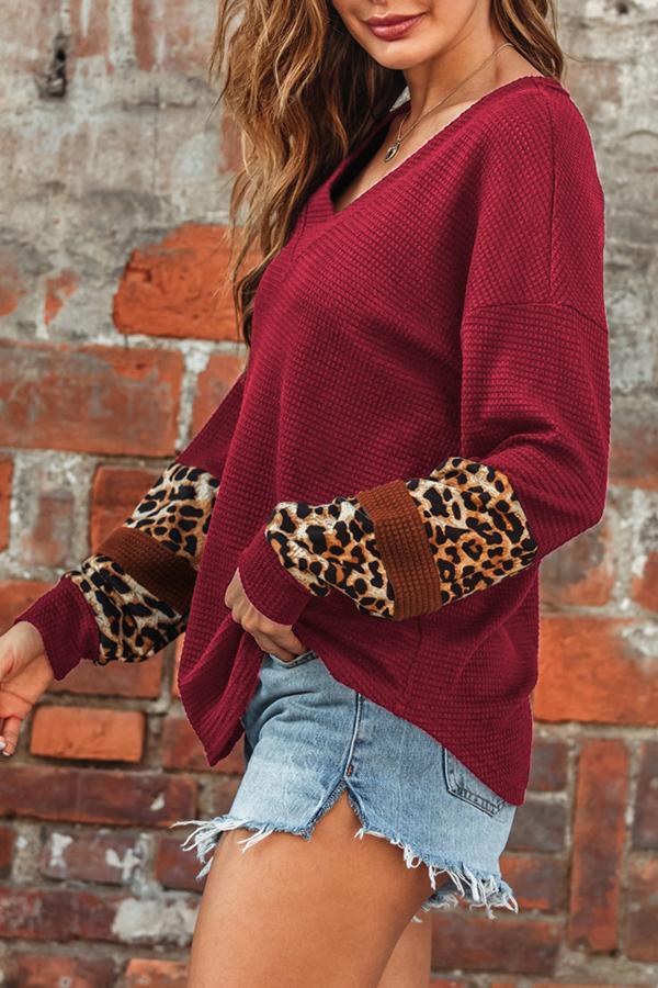 Leopard Print V-Neck Long Sleeve Casual Top